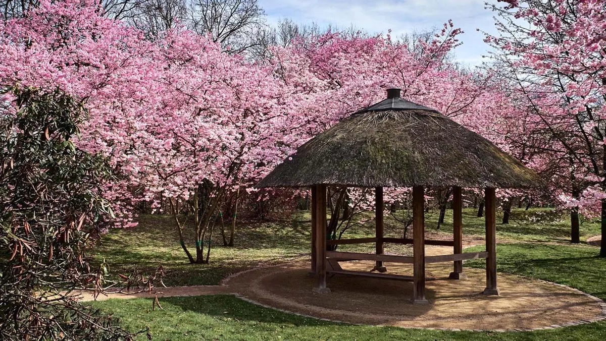 Japanse Tuin Hasselt op wandelafstand van DeuxHommes B&B